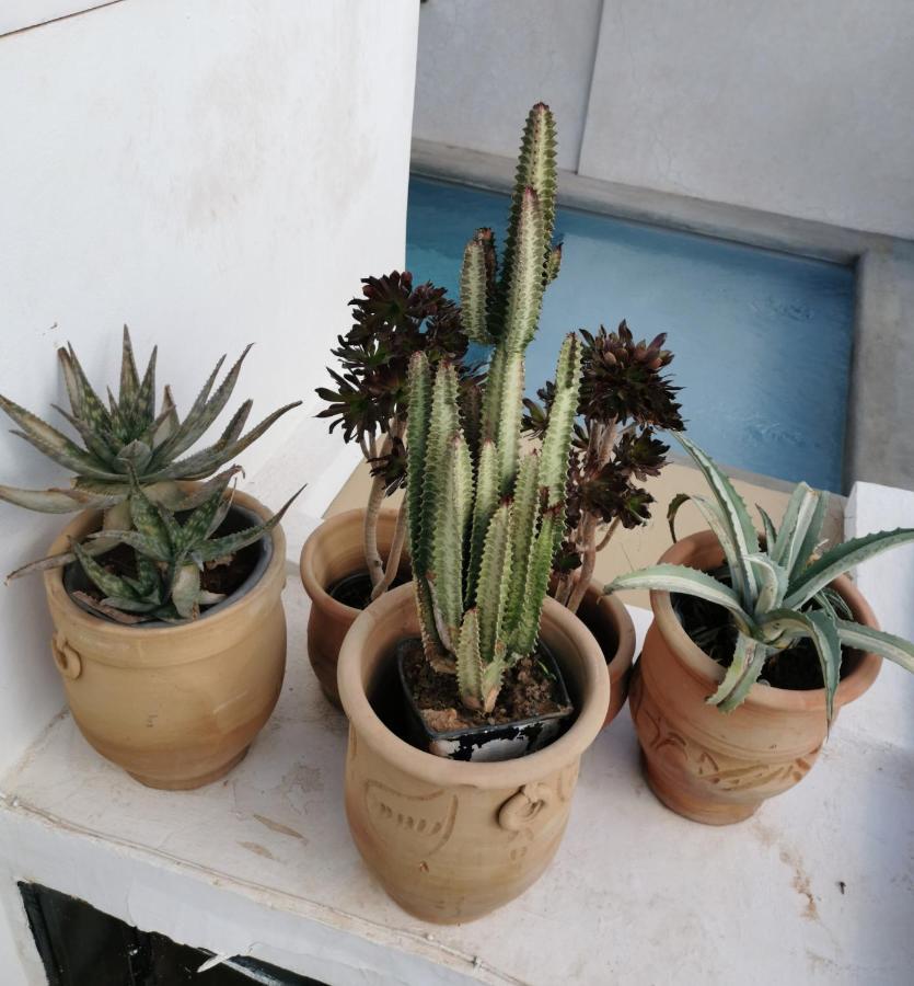 Riad Bab Aylen - Piscine Roof Top Chauffee Marrakesz Zewnętrze zdjęcie