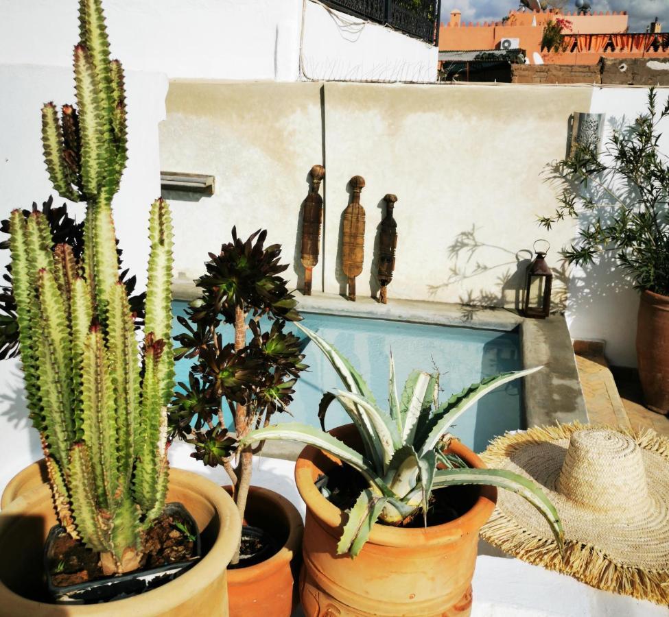 Riad Bab Aylen - Piscine Roof Top Chauffee Marrakesz Zewnętrze zdjęcie